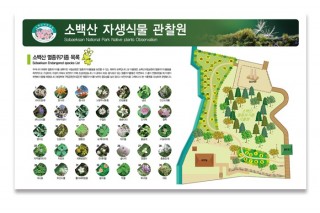 소백산식물원.jpg