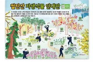 철탄산식물-01.jpg