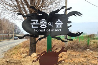 곤충의숲.jpg