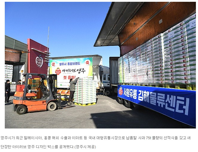 헤럴드경제.PNG